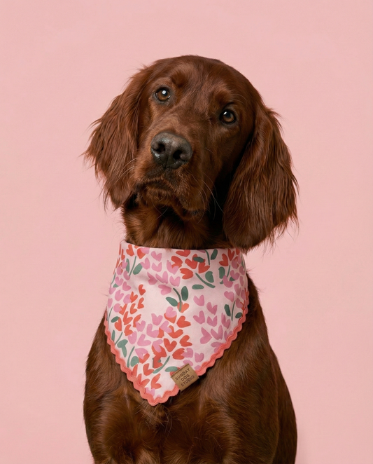 Sweet Treat Bandana