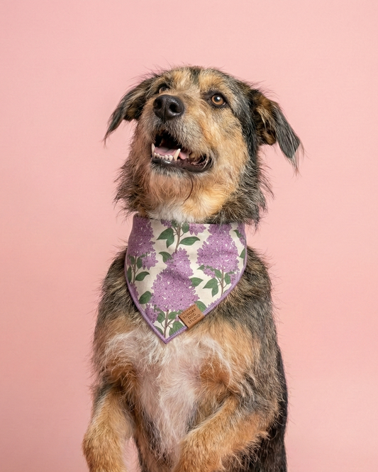 Lavender Fields Bandana
