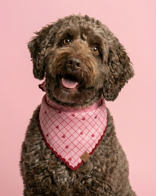 Strawberry Jam Bandana