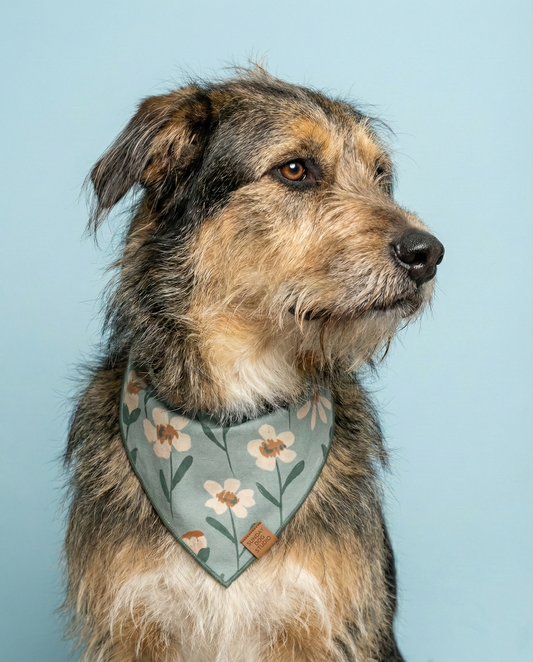 Dreamy Daisy Bandana