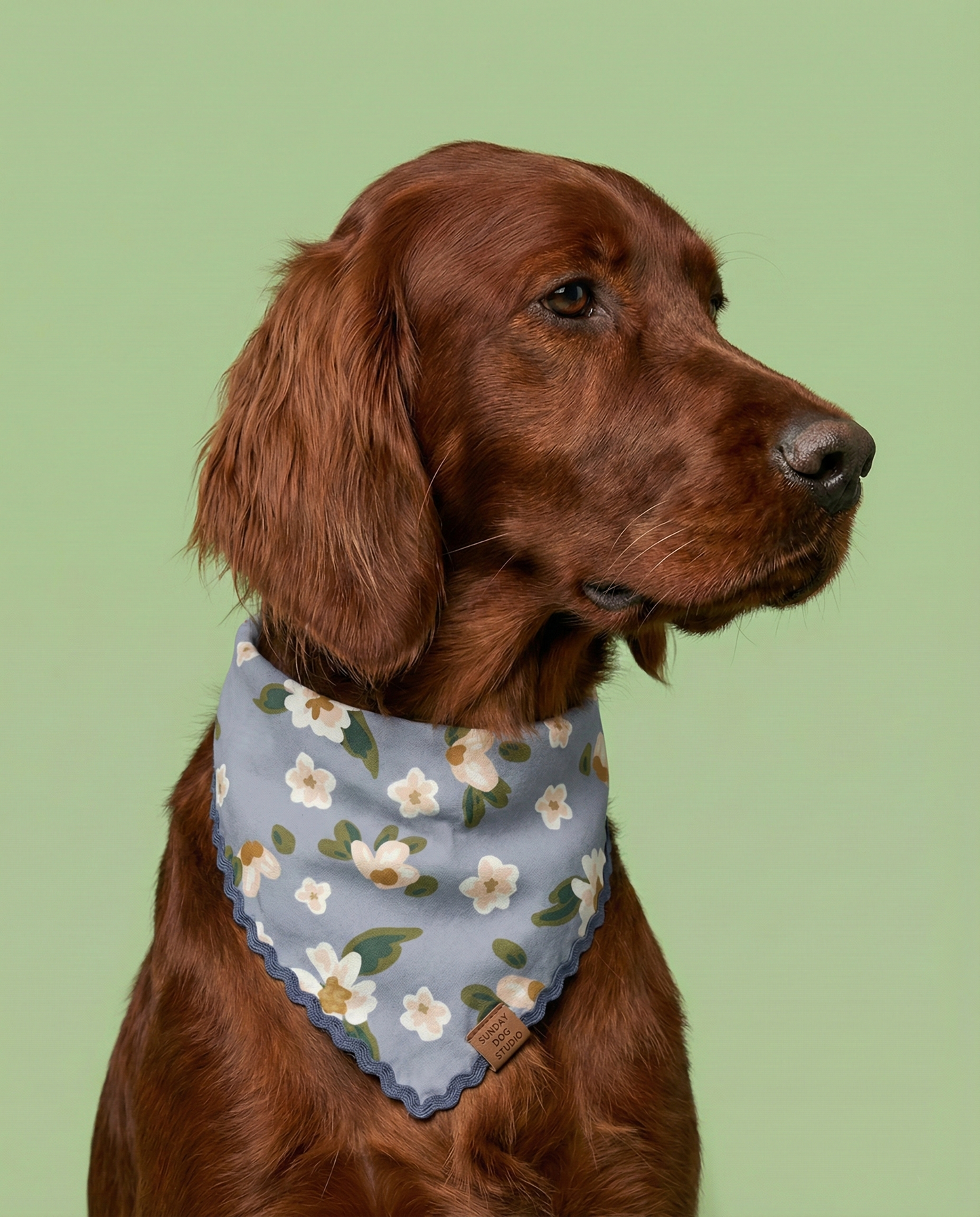 Cozy Blue Bandana