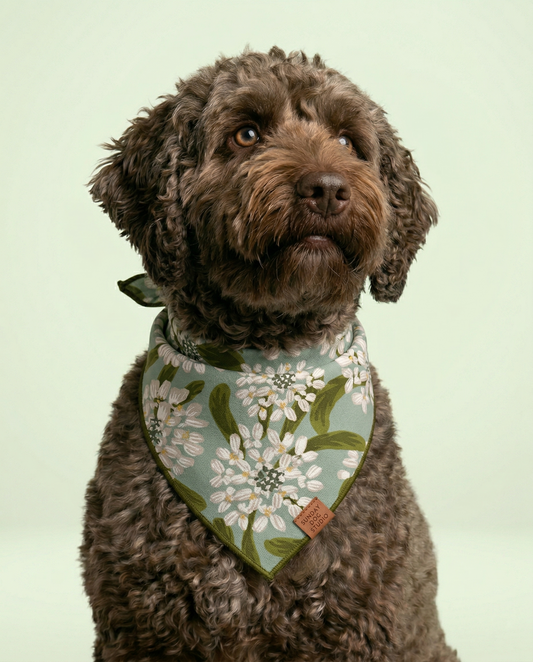 Morning Dew Bandana
