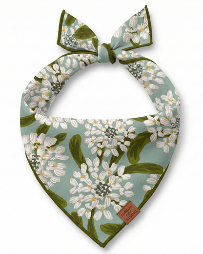 Morning Dew Bandana