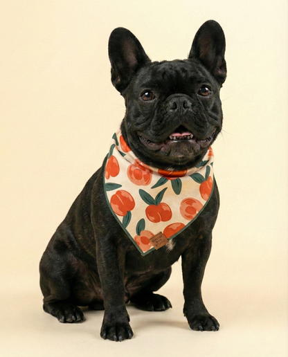 Life’s a Peach Bandana